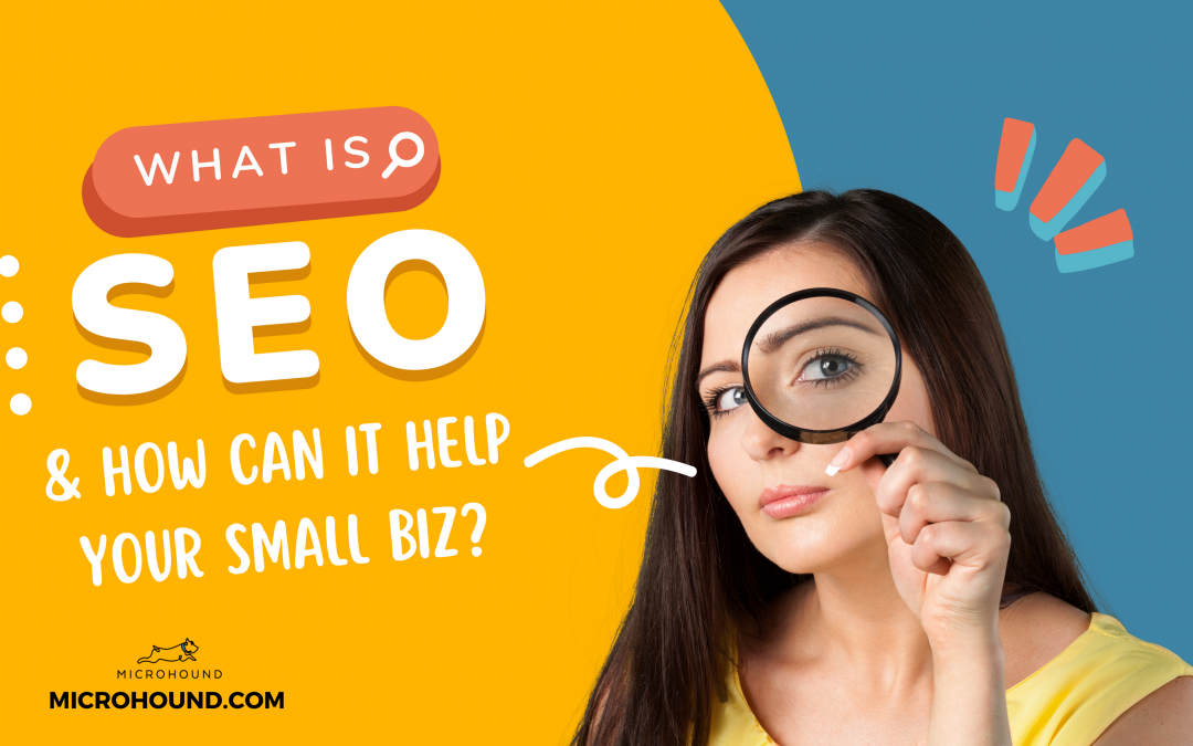 Can Hiring an SEO Company in NC Really Boost Your Small Business?